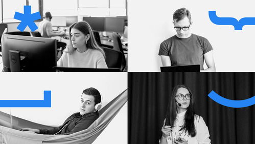 Baltic Amadeus 定制軟件開發(fā)與品牌形象設(shè)計的完美融合